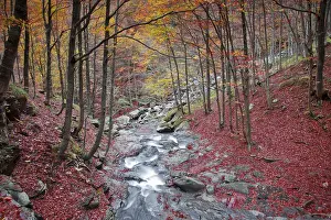 Appennines Prints: Lavacchiello waterfall in autumn, Tuscany-Emilian appennines, Emilia Romagna, Italy