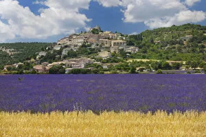 Lavendelfeld und Dorf Simiane la-Rotonde, Lavender (Lavendula augustifolia), Simiane la-Rotonde