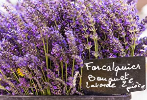 Lavandula Prints: Lavender bunches on sale at a French market, Provence, France