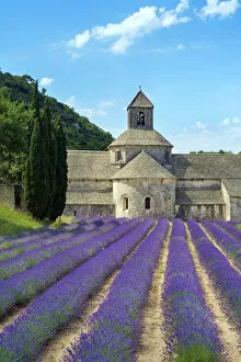 Images Dated 6th July 2014: Lavender fields in full bloom in early July in front of Abbaye de SA nanque Abbey