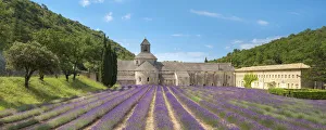 Images Dated 6th July 2014: Lavender fields in full bloom in early July in front of Abbaye de SA nanque Abbey