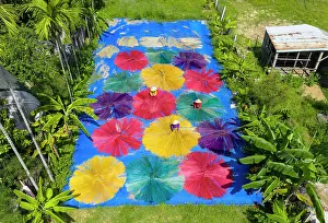 Hoi An Prints: Laying dyed sedge out to dry, used to make sleeping mats