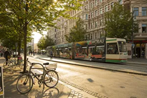 Magdeburg Prints: Leibnizstrasse, Magdeburg, Saxony-Anhalt, Germany
