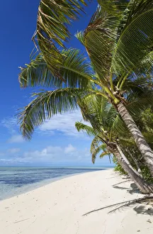 Fiji Prints: Leleuvia Island, Lomaiviti Islands, Fiji