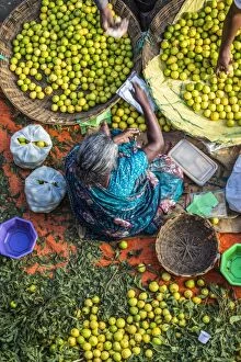 Fruit Gallery: Lemon seller, K.R. market, Bangalore (Bengaluru), Karnataka, India