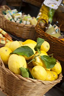Riviera Di Levante Gallery: Lemons in basket, Manarola, Cinque Terre, Riviera di Levante, Liguria, Italy