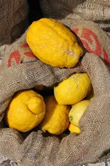 Images Dated 15th August 2011: Lemons. Lisbon food market, Portugal