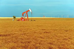 Industrial Prints: Lentils. Red. Oil pump jacks Carmichael Saskatchewan, Canada