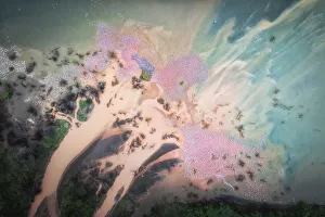 Creative Prints: Lesser and greater flamings gathering in Lake Bogoria, Rift Valley, Kenya