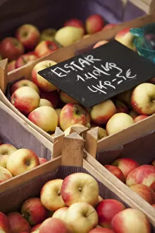 Images Dated 5th March 2013: Leuven, Belgium. Locally grown apples on sale at Leuven market