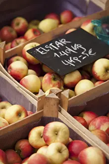 Leuven Prints: Leuven, Belgium. Locally grown apples on sale at Leuven market