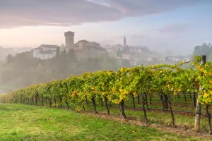 Agricolture Gallery: Levizzano Castle, Castelvetro di Modena district, Modena province, Emilia Romagna, Italy