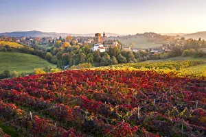 Images Dated 31st January 2020: Levizzano Castle, Castelvetro di Modena district, Modena province, Emilia Romagna, Italy
