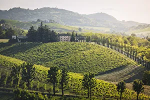 Modena Prints: Levizzano Rangone, Castelvetro di Modena, Modena province, Emilia Romagna, Italy