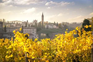 Levizzano Rangone, Modena Province, Emilia Romagna, Italy