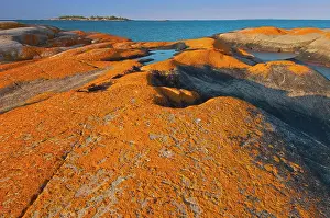 Lichen Prints: Lichen covered, Glacially eroded Precambrian shield rock on coast islands in Georgian Bay (Lake Huron)