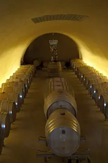 Barrels Prints: Liechtenstein, Vaduz. Wine cellar of the Prince of Liechtenstein