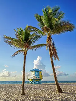 Hollywood Prints: Lifeguardhouse framed by palm trees Hollywood Beach Hollywood Miami, South Florida, USA