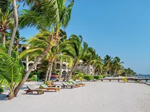 Deckchair Prints: Lighthouse Beach Villas at the waterfront of San Pedro Town