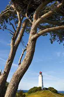 Hiddensee Island Prints: Lighthouse, Hiddensee Island, Mecklenburg-Western Pomerania, Germany