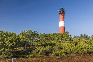 Heide Prints: Lighthouse in Hoernum, Sylt, Schleswig-Holstein, Germany