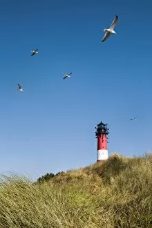 Images Dated 10th July 2014: Lighthouse, Hornum, Sylt Island, Northern Frisia, Schleswig-Holstein, Germany