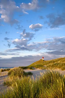Landcape Prints: Lighthouse List east, Ellenbogen, Sylt Island, North Frisian Islands, Schleswig Holstein