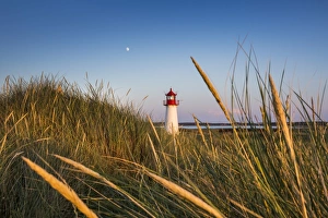 Northern Frisia Prints: Lighthouse List West, Sylt Island, Northern Frisia, Schleswig-Holstein, Germany