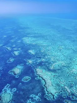 Atoll Prints: Lighthouse Reef, aerial view, Belize District, Belize