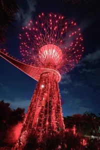 Lightshow Prints: Lightshow in the Supertree Grove, Gardens by the Bay, Singapore