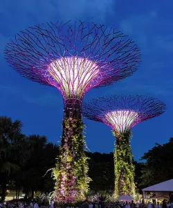 Lightshow Prints: Lightshow in the Supertree Grove, Gardens by the Bay, Singapore
