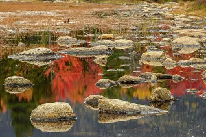 Placid Prints: Lilly Pond, Kancamagus Highway, White Mountain National Forest, New Hampshire, USA