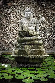 Lily Prints: Lily pond and statue at the Oberoi Hote in Seminyak, Bali, Indonesia