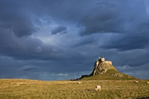 Lindisfarne Prints: Lindisfarne Castle, Northumberland, England