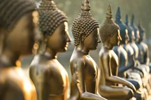 Images Dated 19th January 2016: Line of Buddha statues, Seema Malaka temple on Beira Lake. Colombo, Sri Lanka