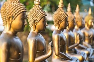 Images Dated 19th January 2016: Line of Buddha statues, Seema Malaka temple on Beira Lake. Colombo, Sri Lanka