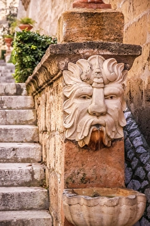 Face Prints: Lion fountain at the Palacio Real de la Almudaina