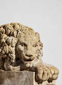 Lion Sculpture at the entrance to the Nuestra Senora de la Asuncion Cathedral