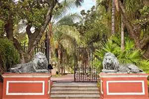 Lions Prints: Lions at the entrance of the National Historical Museum (Museo Historico Nacional) in San Telmo