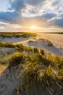 Wind Collection: List-Ost, Sylt island, North Frisia, Schleswig-Holstein, Germany