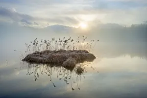 Alpen Prints: Little island on Geroldsee, Krun, Bavaria, Germany
