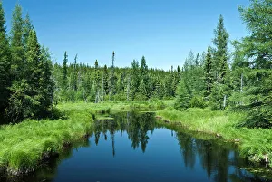 Streams Prints: Little Mollie Creek in the boreal forest of Ontario, Canada