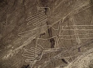 Peruvian Prints: The Lizard Geoglyph, aerial view, Nazca, Ica Region, Peru