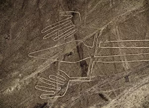 The Lizard Geoglyph, aerial view, Nazca, Ica Region, Peru