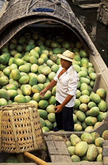 Images Dated 5th February 2009: Loading water melons onto a barge on one of the canals in Shaoxing