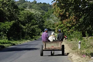 Images Dated 2nd May 2012: Local men in a horse and cart, Nicaragua, Central America