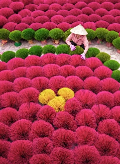 Incense Sticks Prints: Local woman laying out colourful Incense sticks to dry