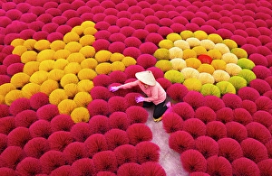 Hanoi Prints: Local woman laying out colourful Incense sticks to dry