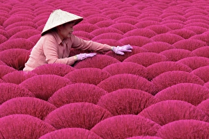 Drying Prints: Local woman laying out colourful Incense sticks to dry