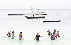 Zanzibar Prints: Localm women fishing in shallow water with a net, Nungwi, Zanzibar, Tanzania